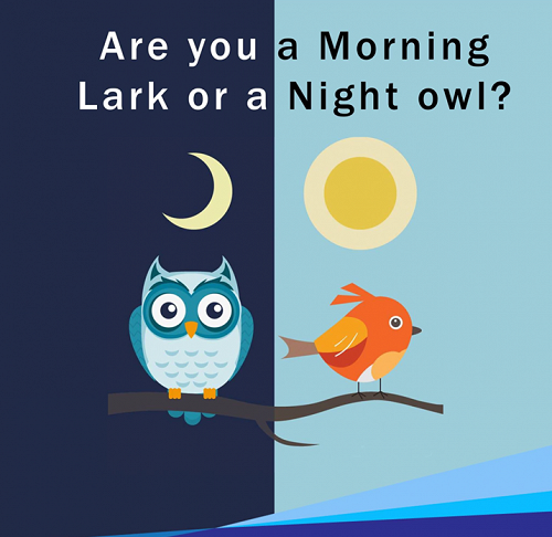 Lark or Owl