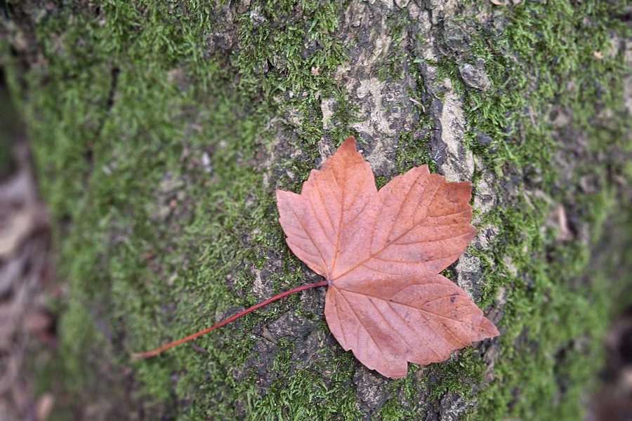 Why autumn is a great time to introduce change